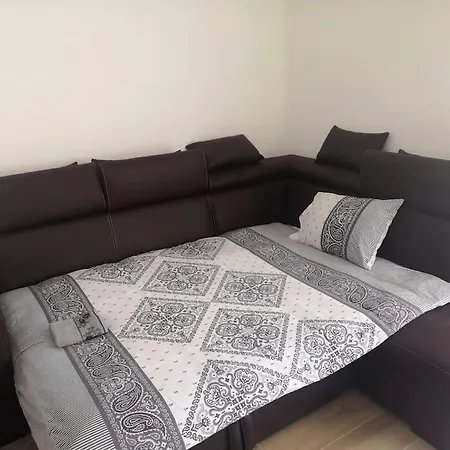 Zvezda Vodilja 2 Veternik